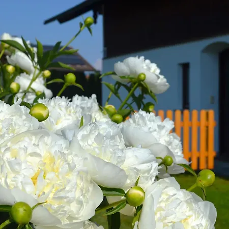 度假居 Antdorfer Gartenglueck